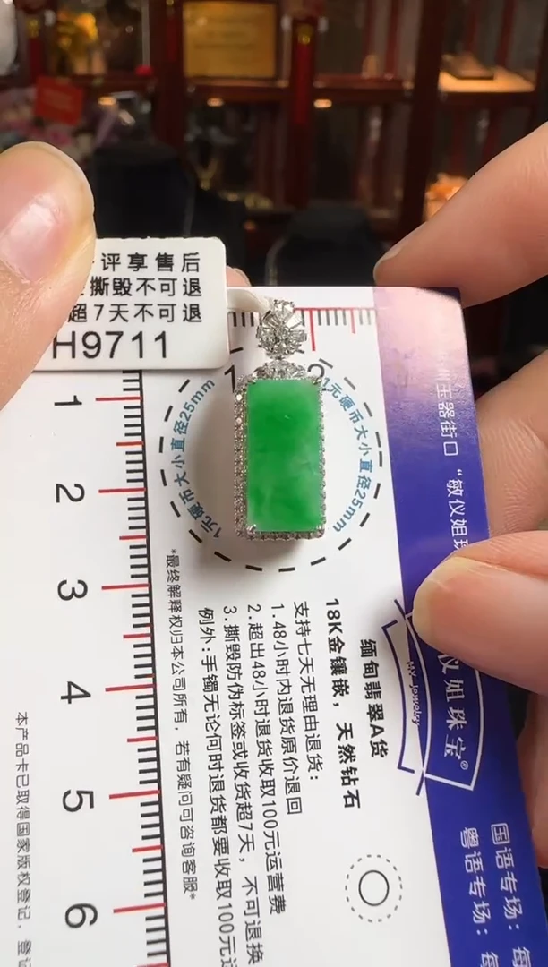 颈饰18K金镶嵌翡翠H9711冰绿无事牌