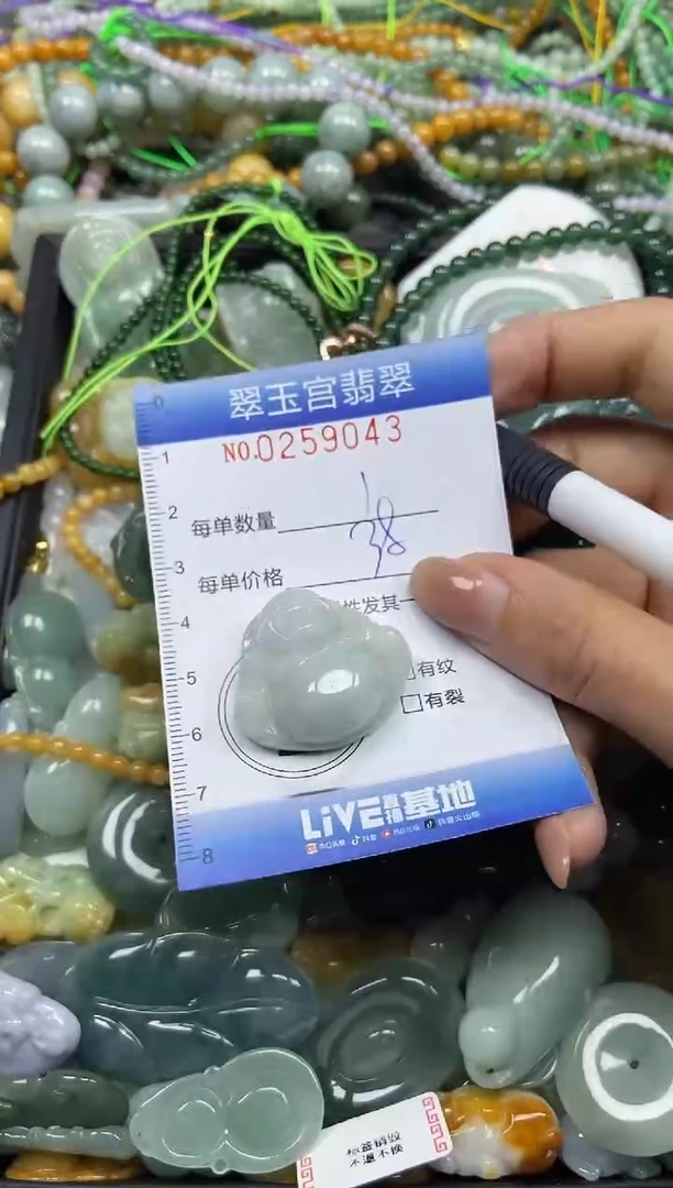 颈饰未镶嵌翡翠闪购C0259043