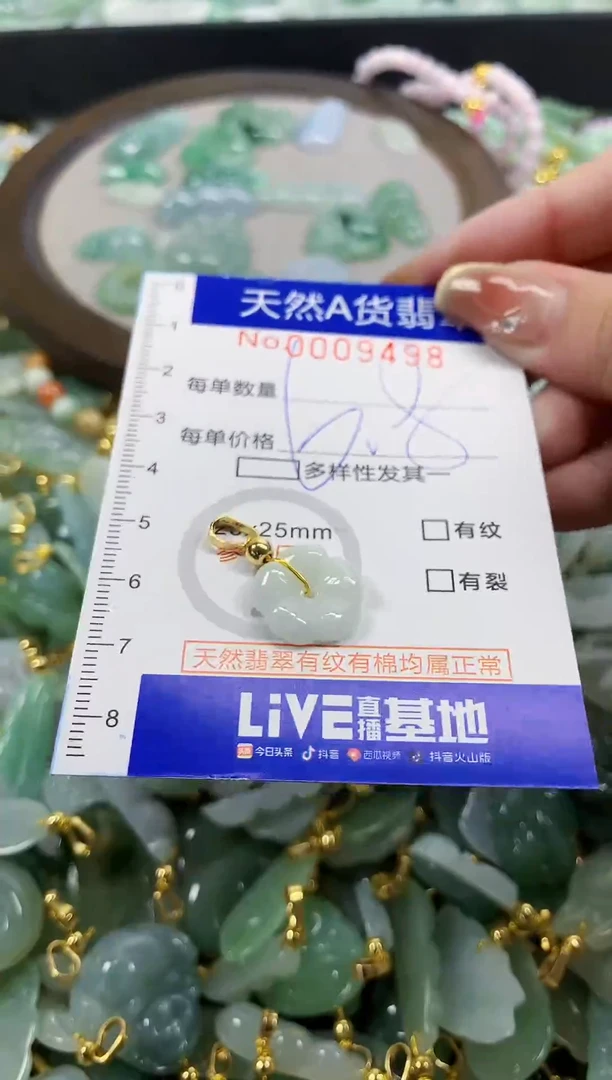 颈饰未镶嵌翡翠天然A货翡翠