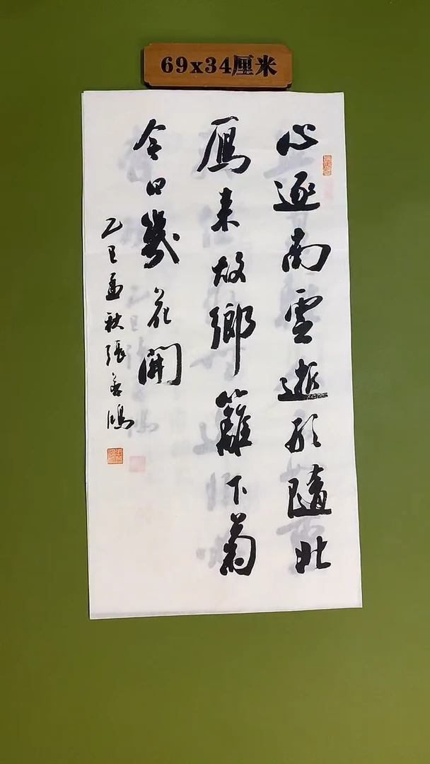 书法书法 张若鸿 尺寸69cm*34cm