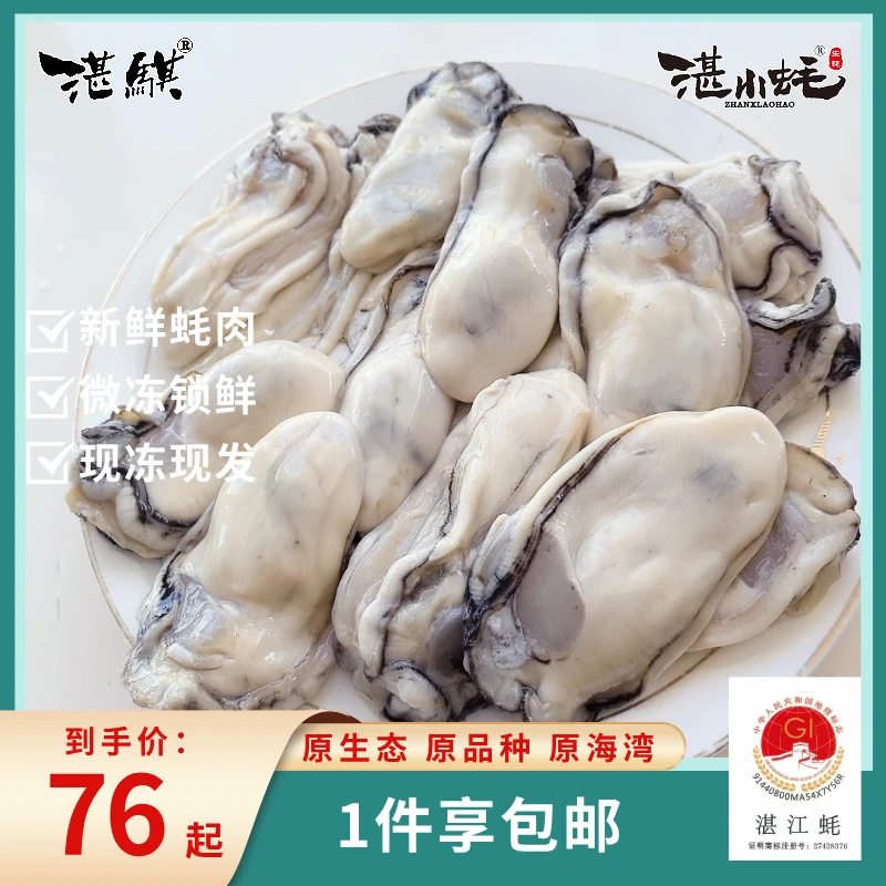 湛骐湛江蚝微冻锁鲜新鲜生蚝蚝肉