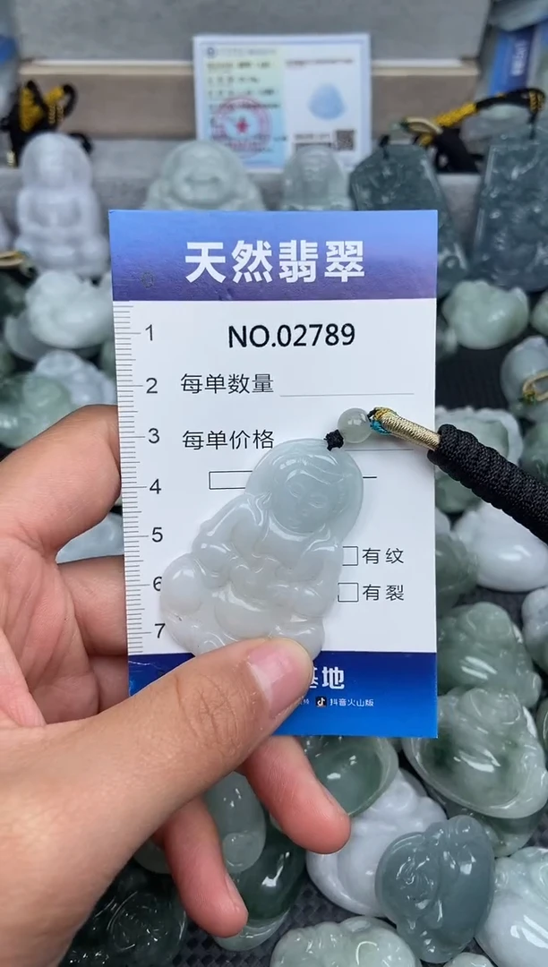 颈饰未镶嵌翡翠纯天然A货翡翠2978