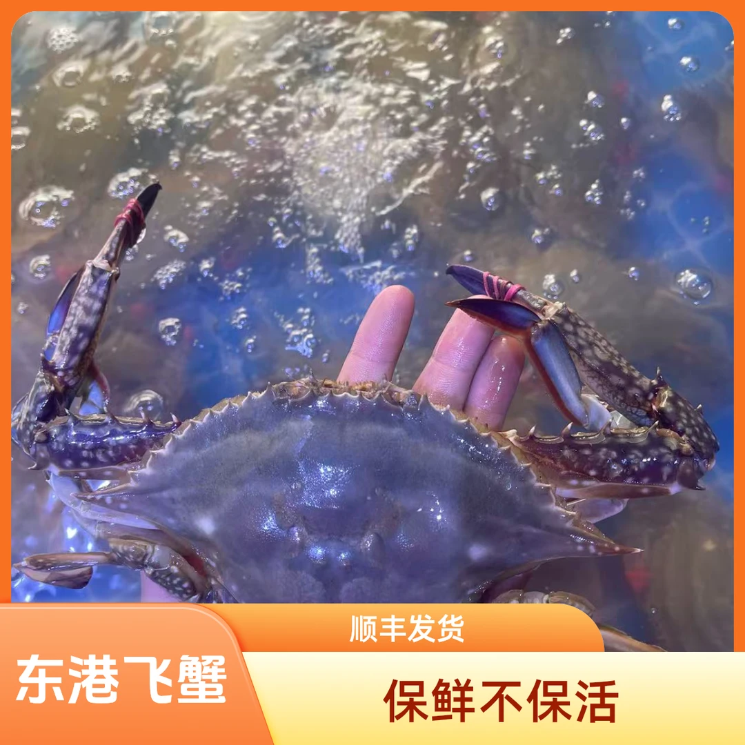 【保鲜不保活】东港飞蟹公蟹{3-5两/只）今日下单3斤送一斤（不保全爪