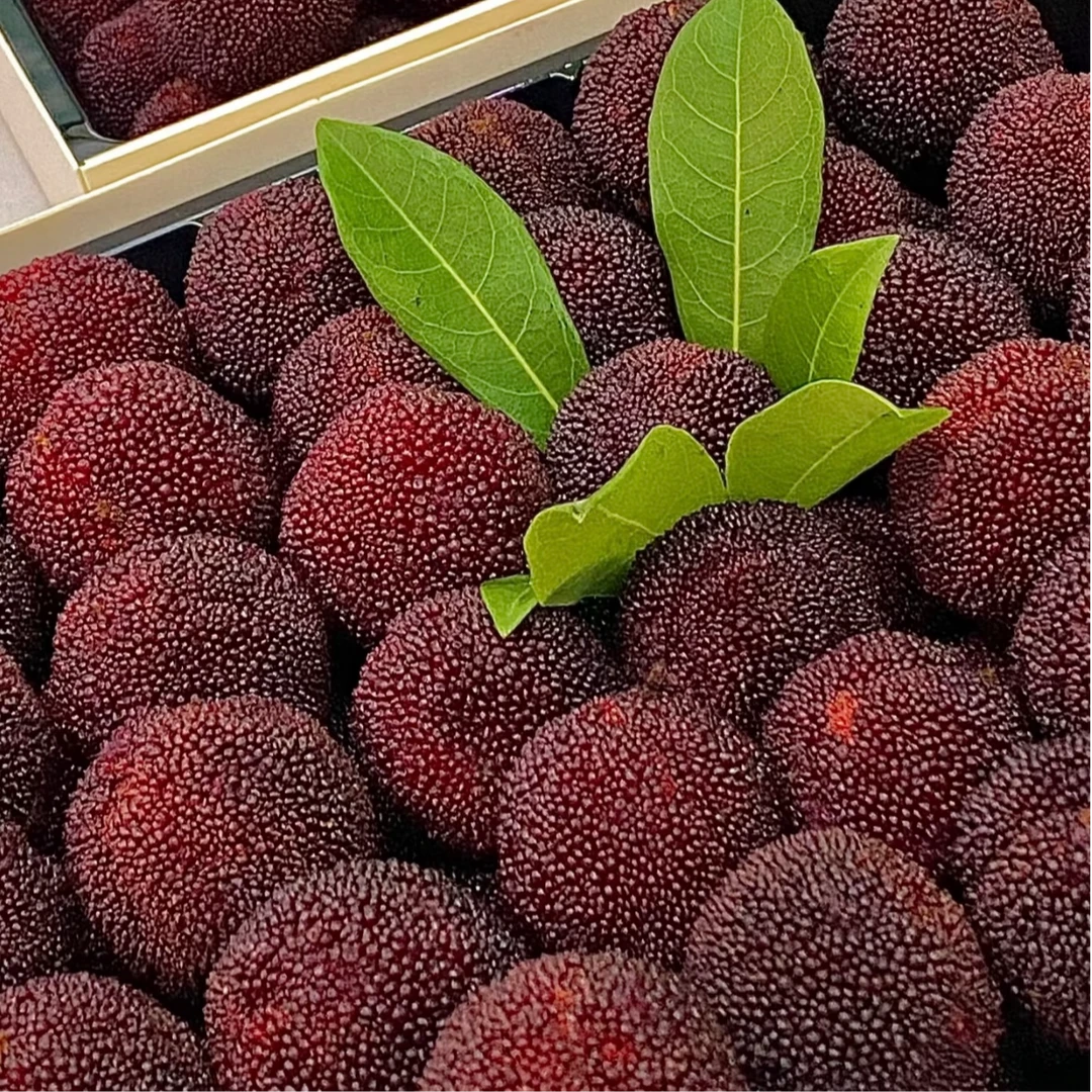 【夹江本地纯甜杨梅】纯甜无酸两斤1000g新鲜杨梅