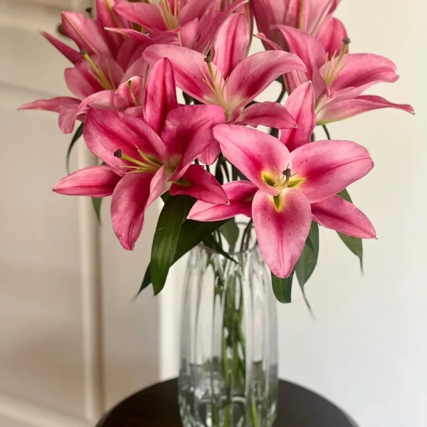 【马龙果】精选优质马龙果百合云南鲜花优质鲜切花家居观赏花