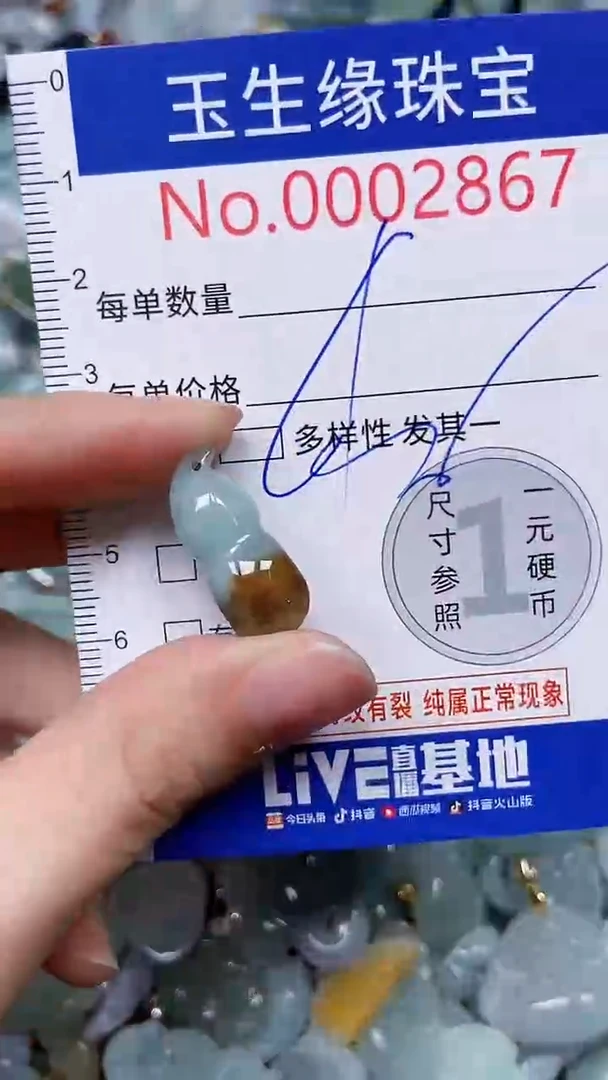 【闪购商品】翡翠颈饰未镶嵌闪购00002867