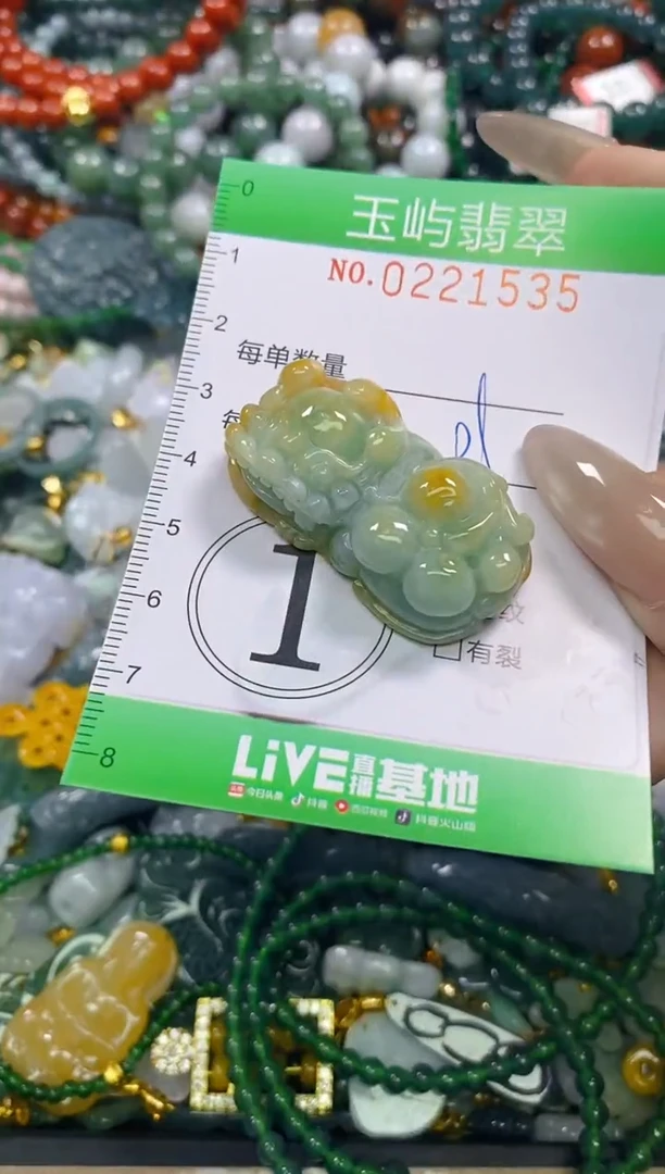 颈饰未镶嵌翡翠闪购0221535