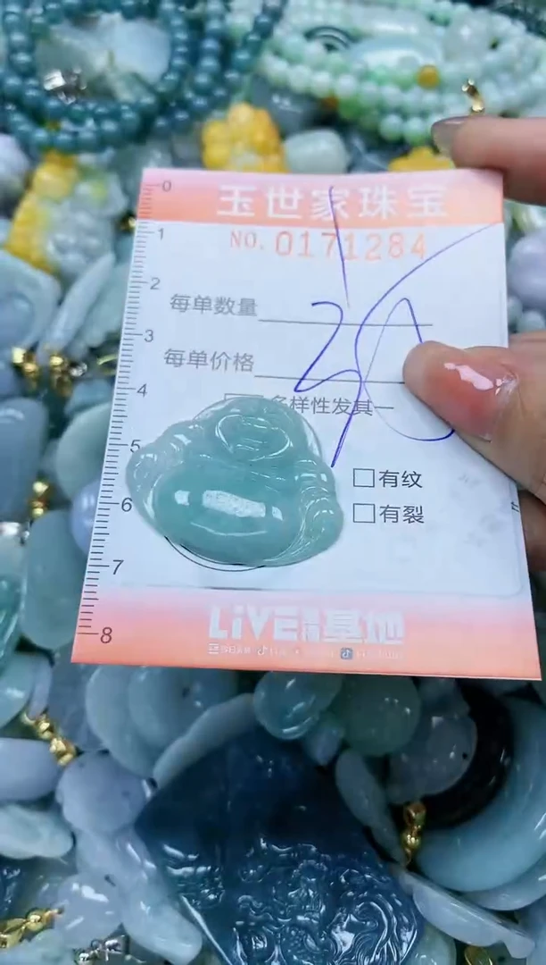 【闪购商品】翡翠颈饰未镶嵌闪购0171284