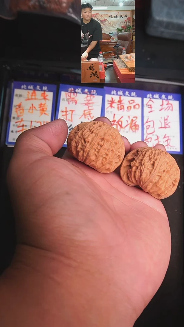 文玩核桃把件90号 -44白狮子全品 【批量】不退不换