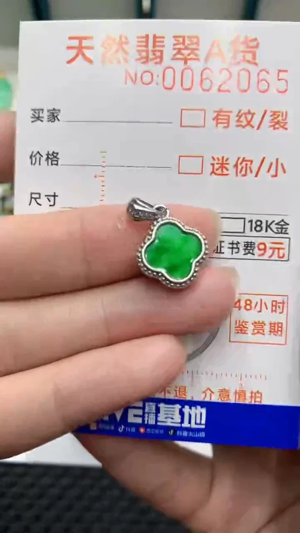 【闪购商品】翡翠颈饰银S925镶嵌            8