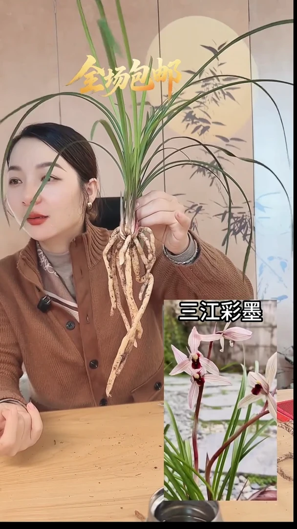 当前无花栽培后可以开花：三江彩墨
