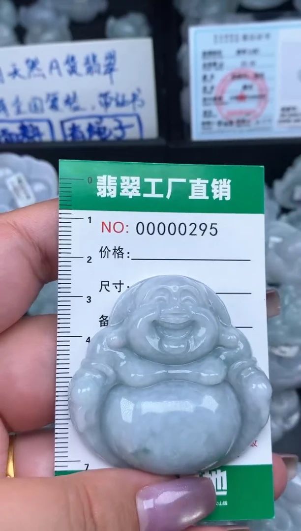 翡翠未镶嵌颈饰缅甸天然A货翡翠0295