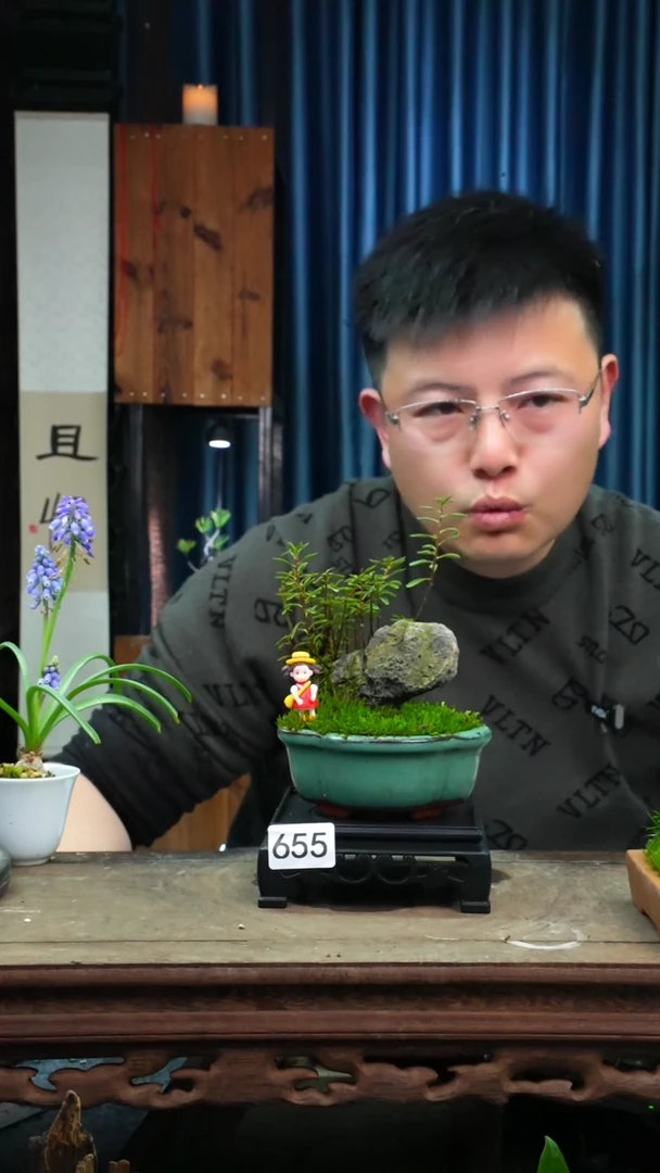 【闪购商品】苔藓微景观655号