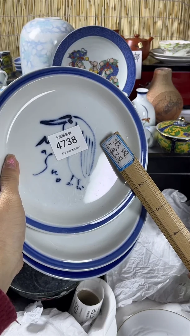 【闪购商品】碟            4738