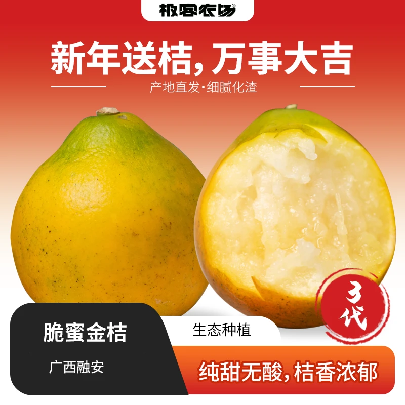融安金桔 脆蜜金柑纯甜无酸 果皮脆硬 1.5斤几乎无籽新鲜采摘发货