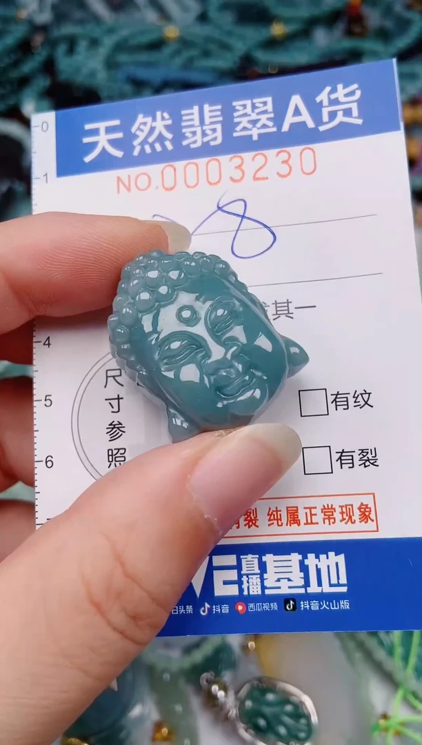 颈饰未镶嵌翡翠00003230