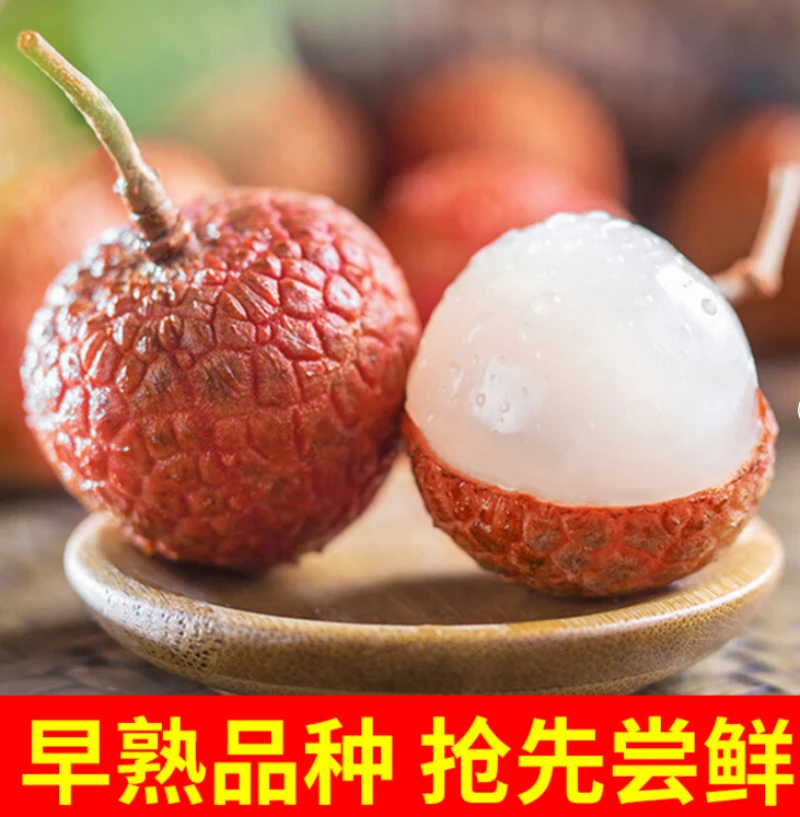 【邮政水果助农】桂花香荔枝4.5斤现摘多汁当季软枝发货