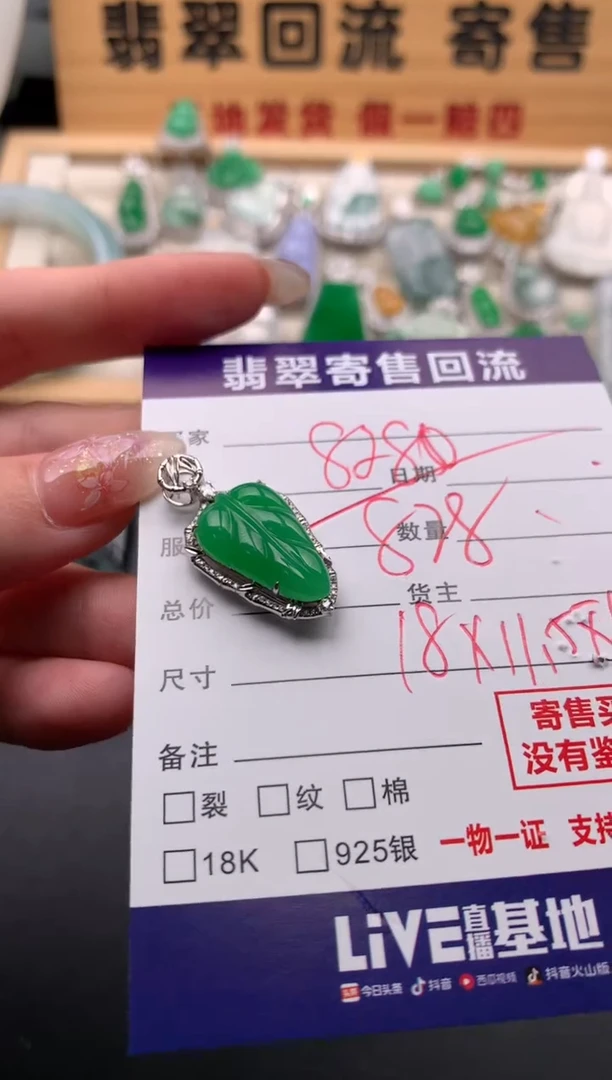 翡翠18K金镶嵌颈饰10133528