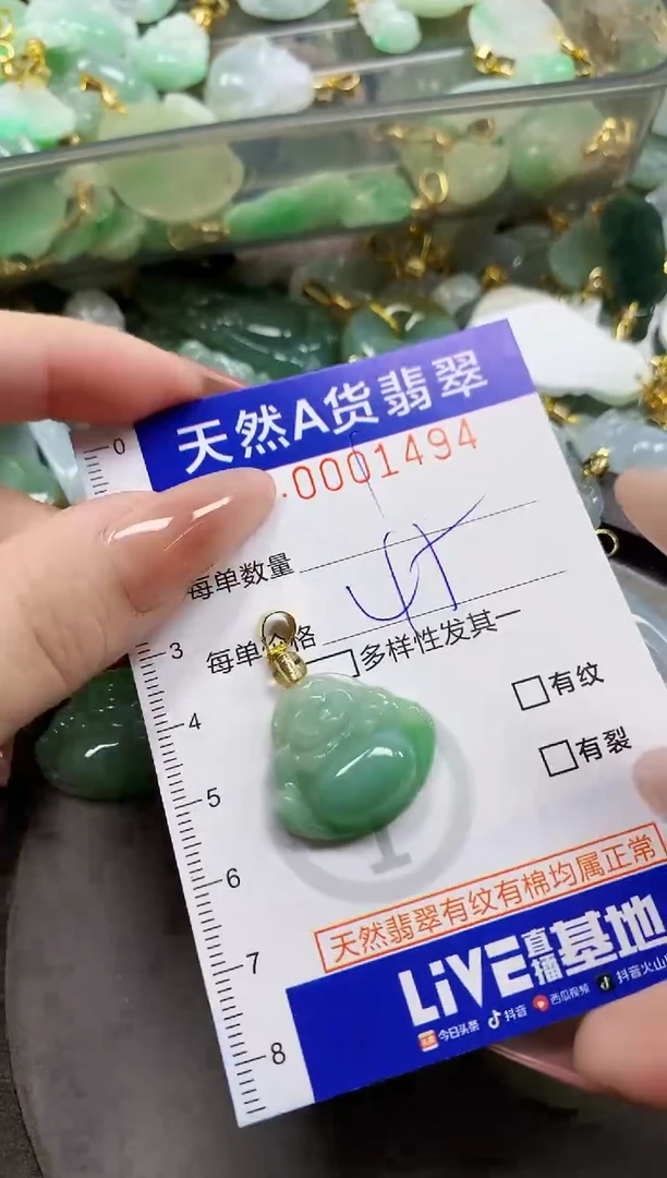 颈饰未镶嵌翡翠天然A货翡翠