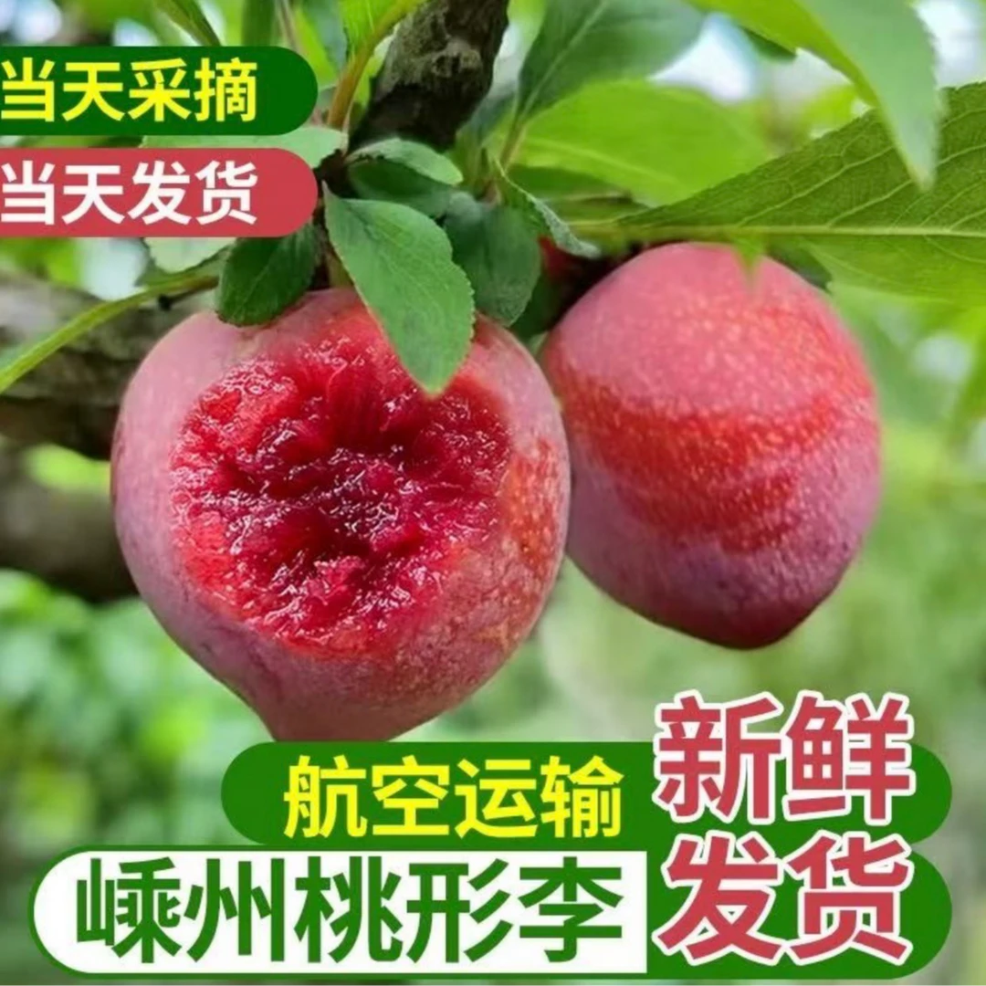 【甄选】正宗嵊州桃形李7月时令新鲜现摘现发红心李子孕妇水果浙江省