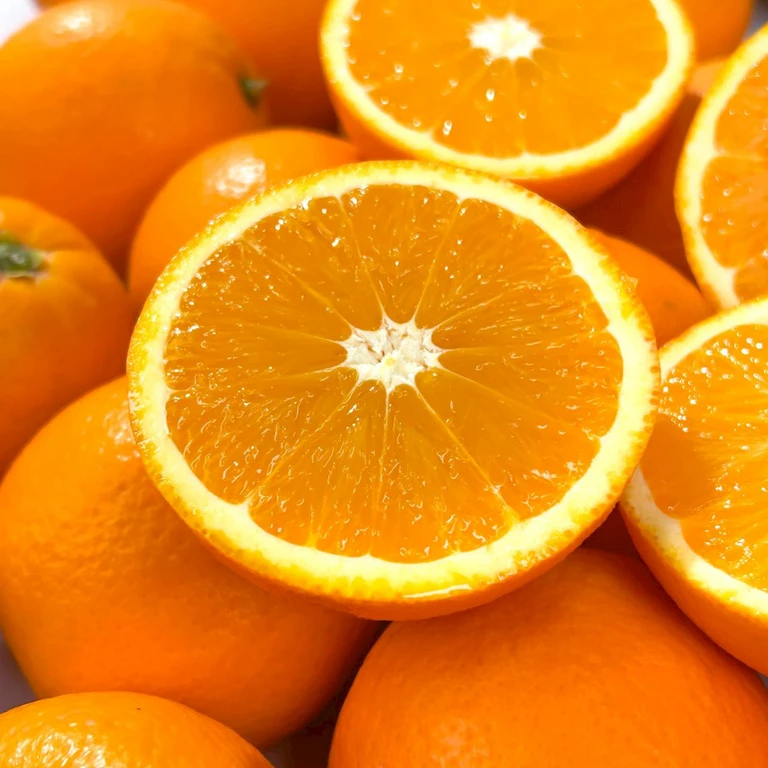 江西赣南脐橙江西省