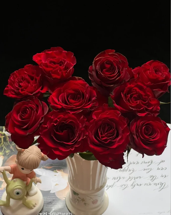 【玫瑰】红心梅拉 任意拍满三单以上顺丰空运包邮鲜切花10支装家居