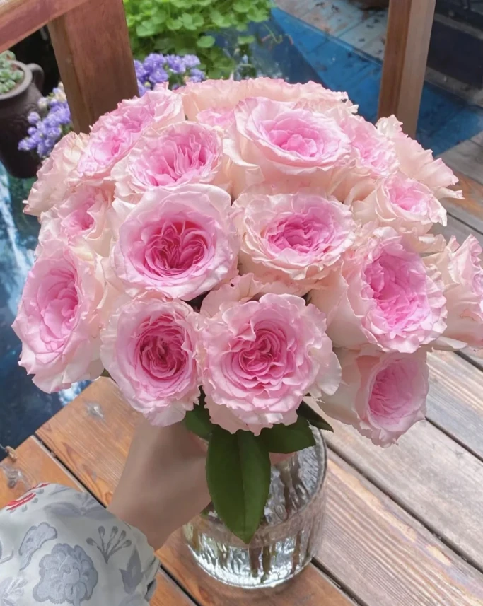 【A4套餐】洛神玫瑰+粉玫瑰+折射+风铃+洋甘菊 鲜花