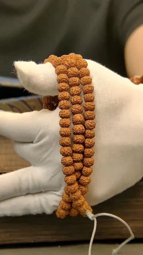 茶盏686.。。。。。。。