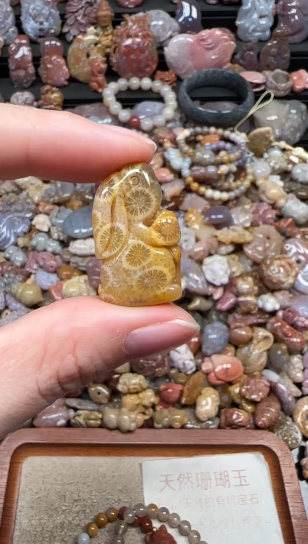 颈饰未镶嵌硅化珊瑚（珊瑚玉）651