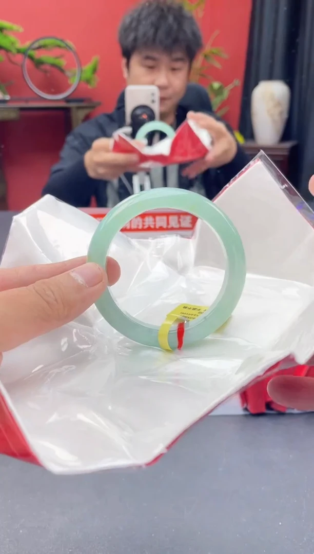 未镶嵌手镯翡翠12