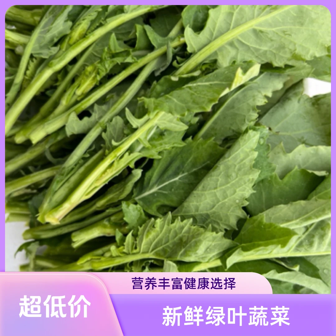 农家自种油菜苔 无污染 放心吃