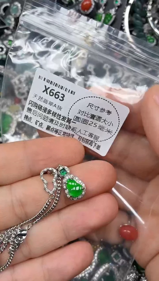 颈饰未镶嵌翡翠X663项链