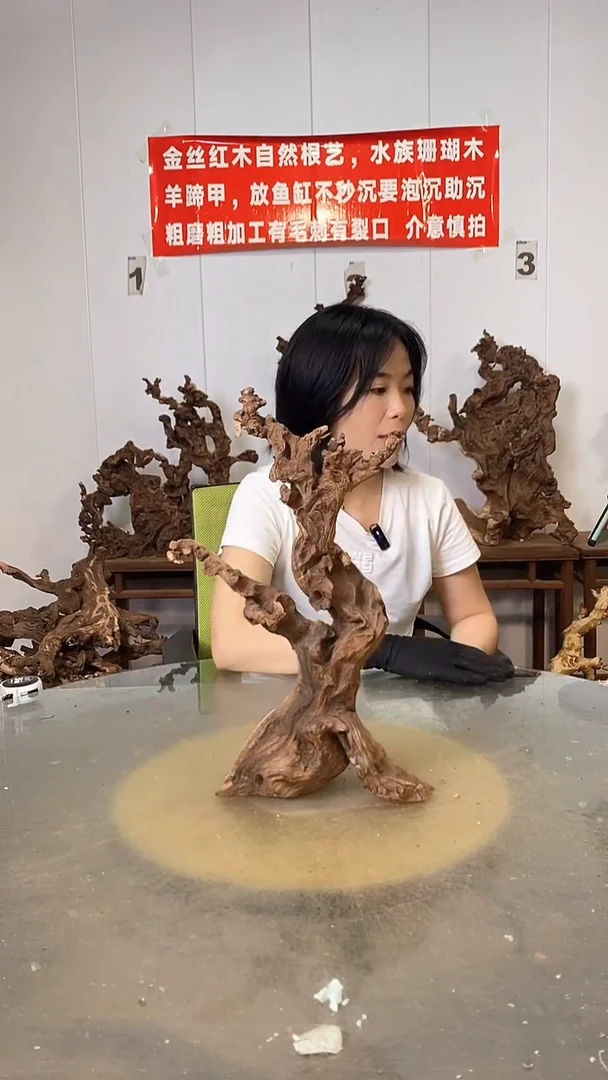 香榧木摄***K金丝红木   羊蹄甲