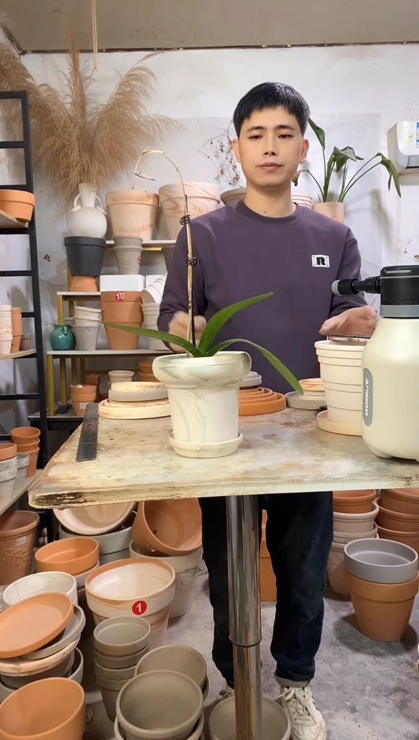 15*14绿白陶蘑菇 1盆1托