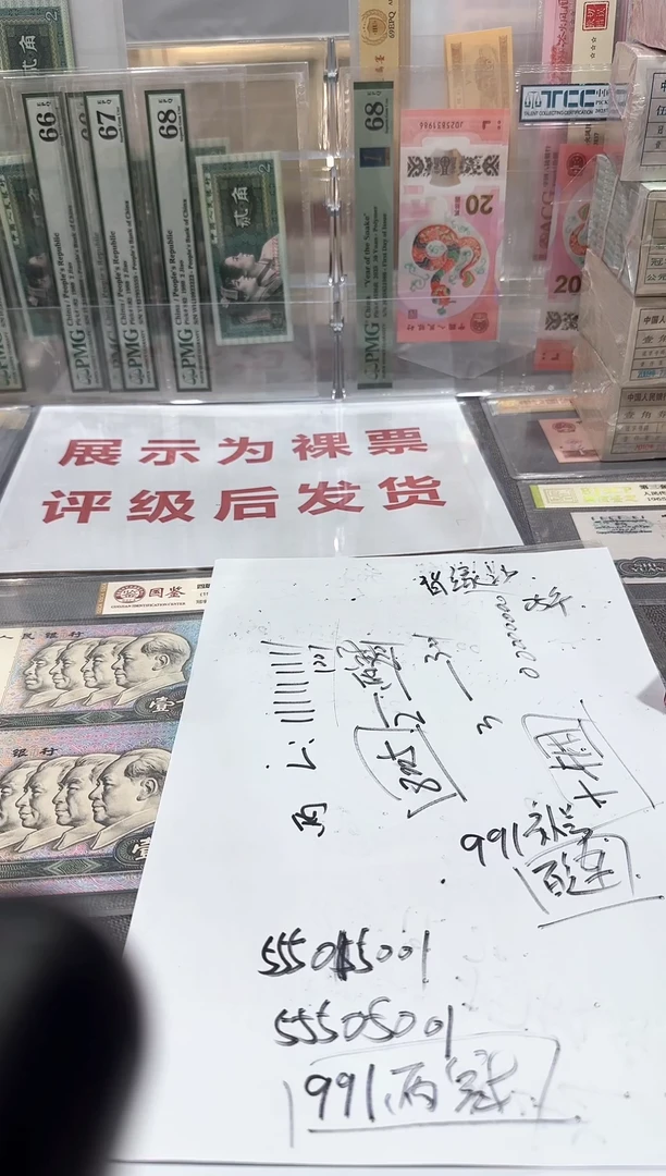 点五  太阳红    金马号    96595101