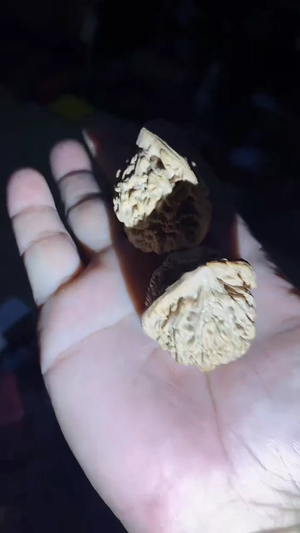 木9啊啊啊啊阿啊啊啊啊啊啊