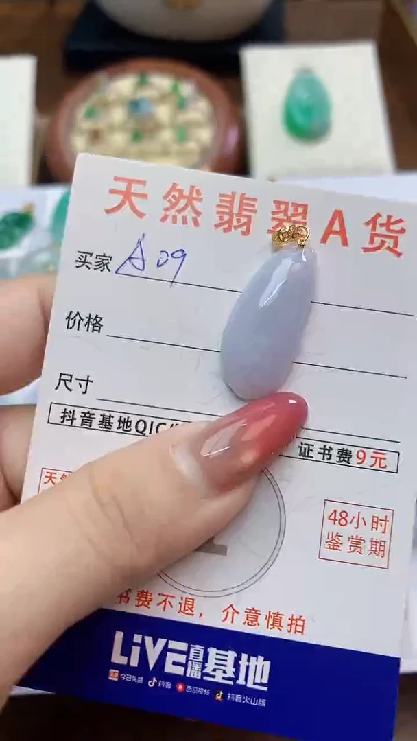 颈饰未镶嵌翡翠天然A货翡翠挂件