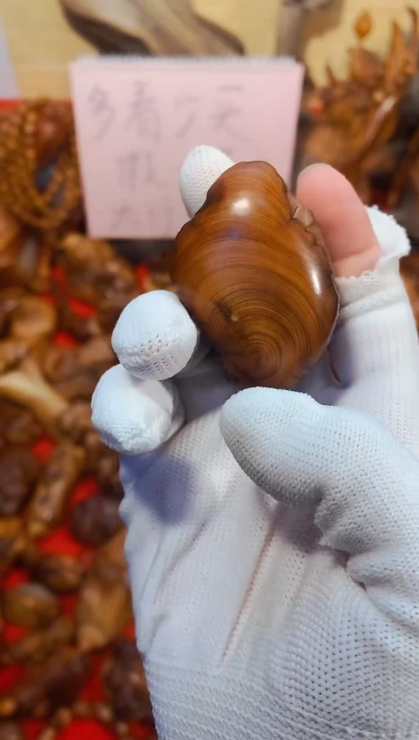 柏木29崖柏崖柏崖柏