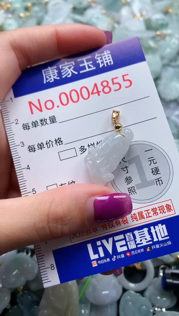 颈饰未镶嵌翡翠4855