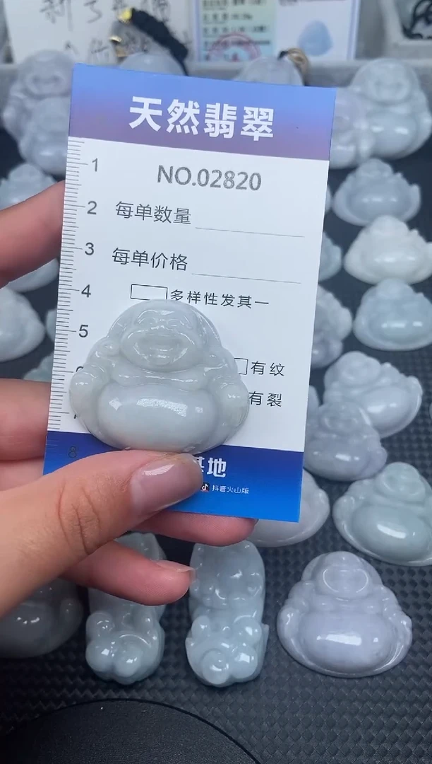 颈饰未镶嵌翡翠纯天然A货翡翠2820