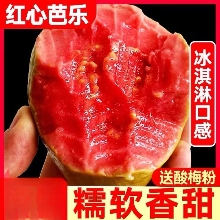 【顺丰包邮】福建正宗软糯白心芭乐红心芭乐番石榴奶油芭乐新鲜水果