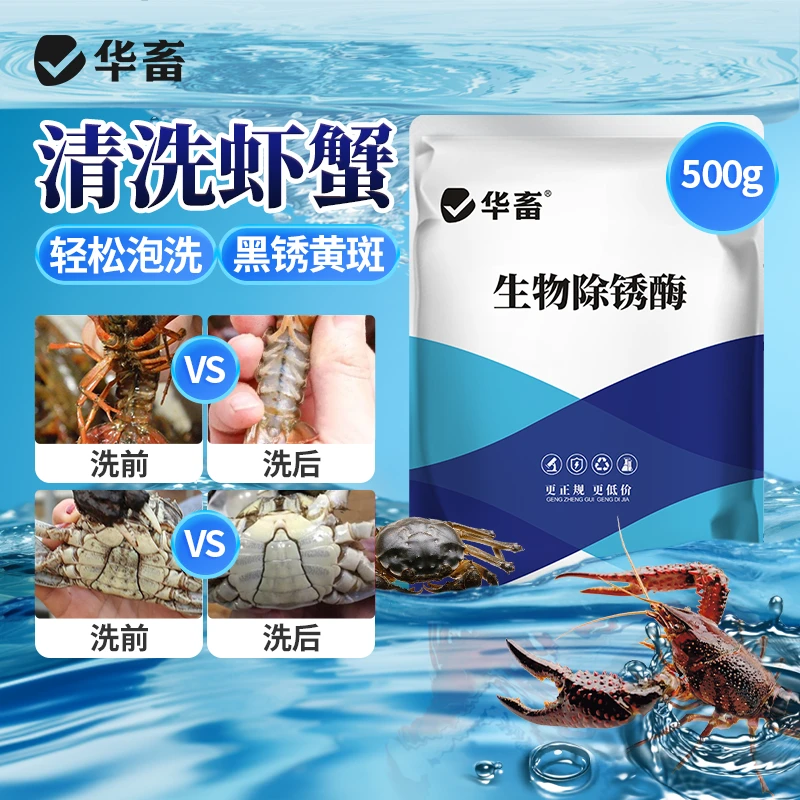 洗虾粉虾蟹除锈酶商用饭店海鲜市场专用F