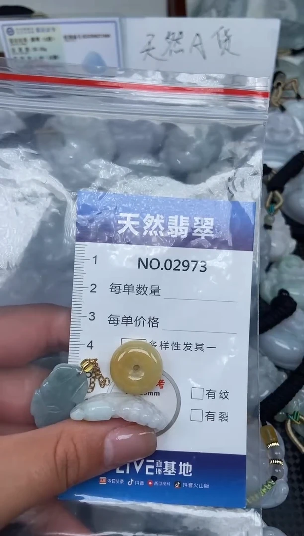 颈饰未镶嵌翡翠纯天然A货翡翠2973