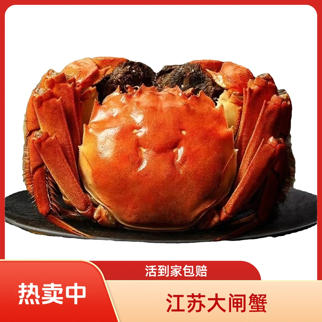 C【空运霸王蟹活蟹】江苏大闸蟹公蟹5两共10只死蟹包赔海鲜