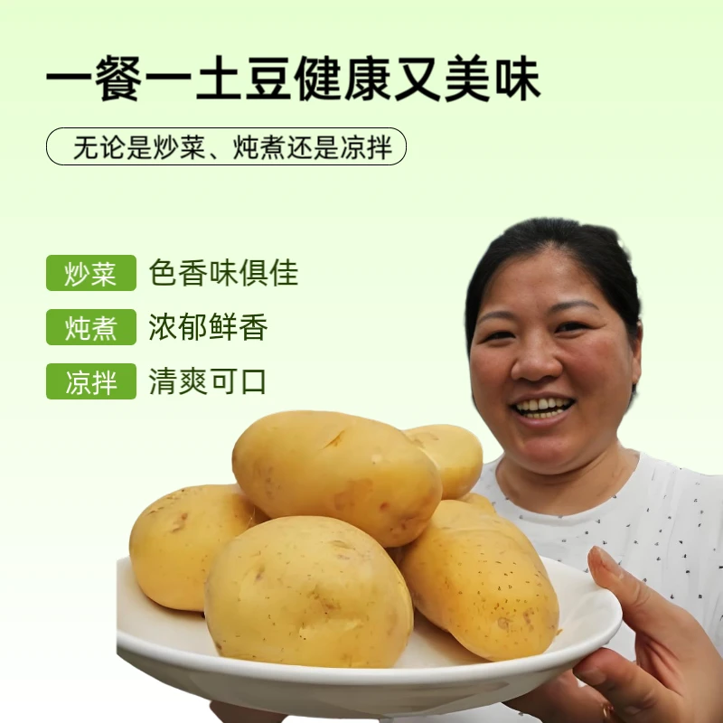 【直播间专享】现挖黄皮黄心沙土地土豆马铃薯洋芋农家甘肃定西沙面