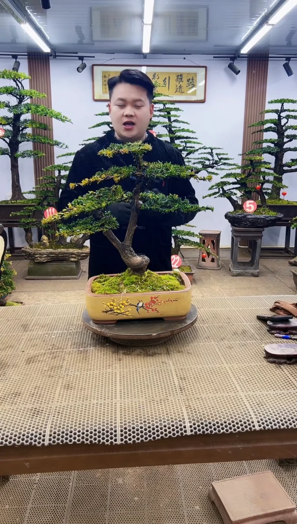 【闪购商品】00000000