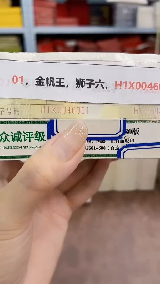 M 01，金帆王，狮子六，H1X0046001