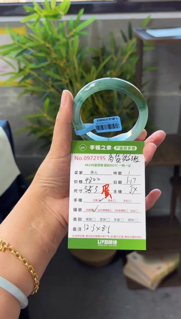 【闪购商品】翡翠手镯未镶嵌多人