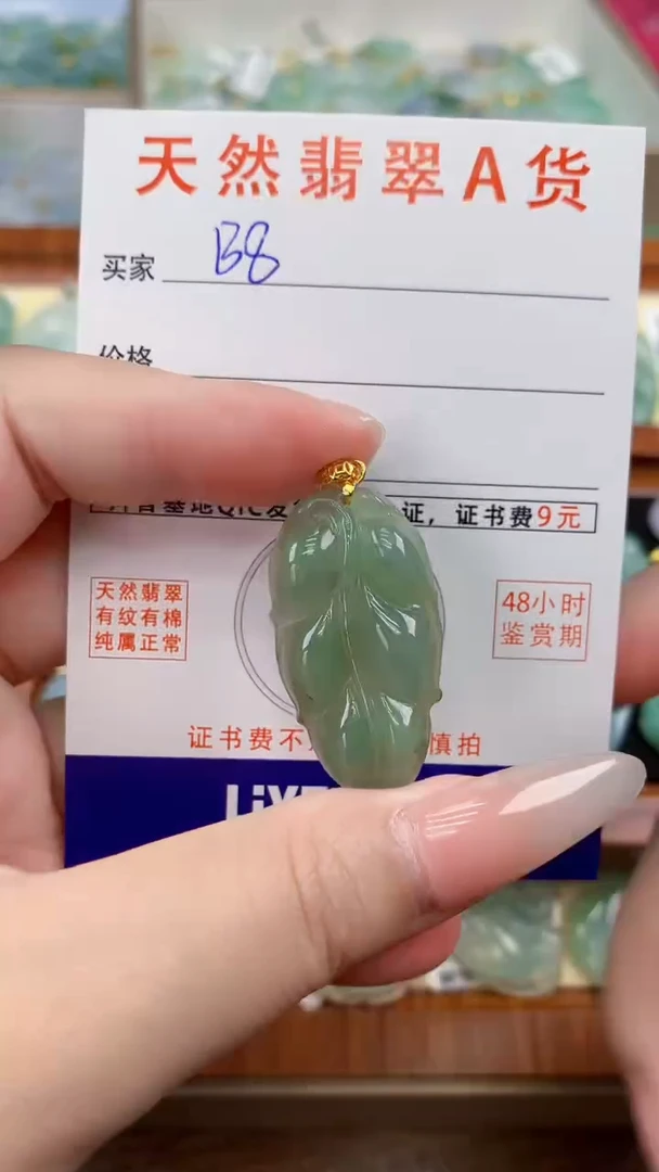 颈饰未镶嵌翡翠天然A货翡翠挂件