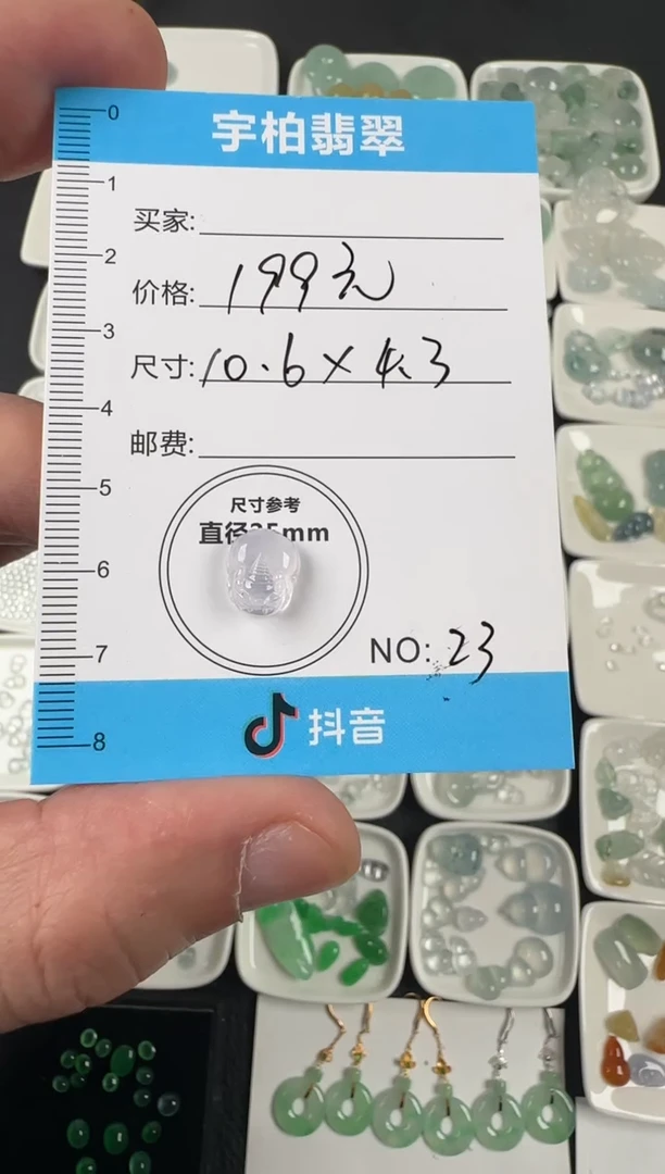 未镶嵌定制翡翠 天然A货翡翠+貔貅023